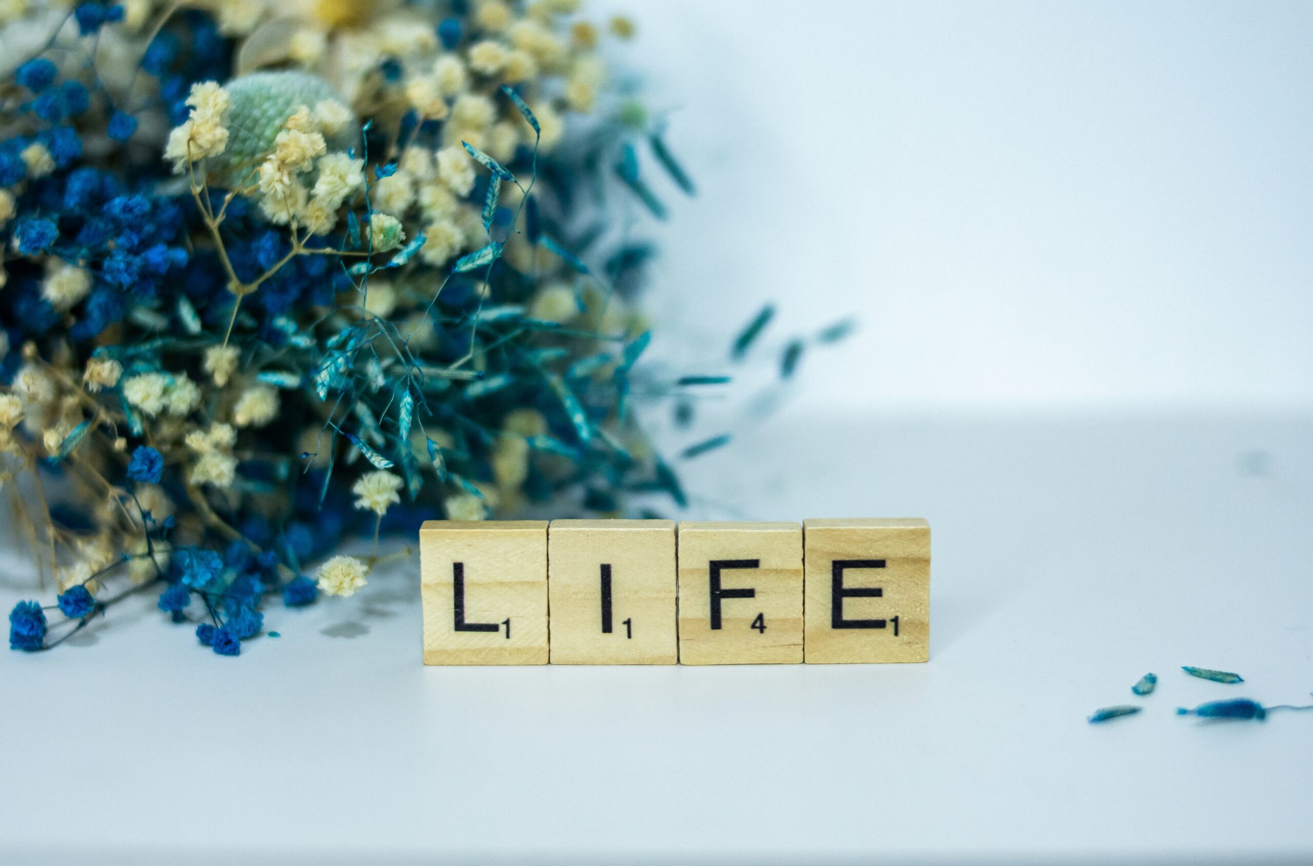 Term vs. Whole Life Insurance: Which One Is Right for You?